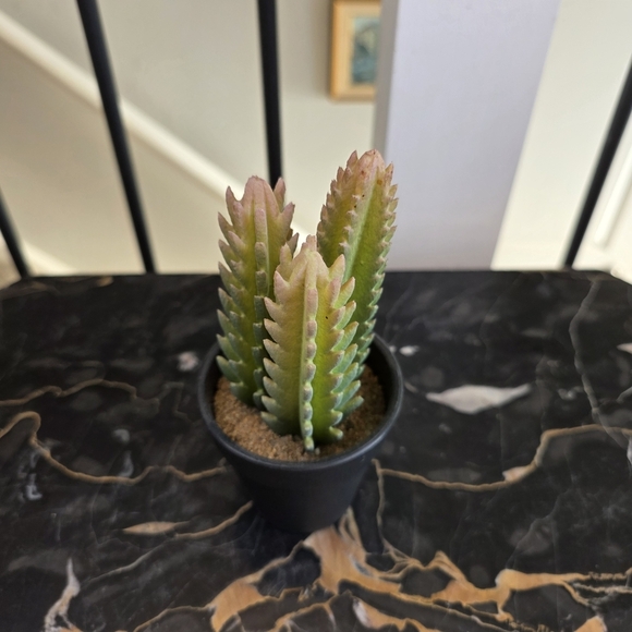 Mini Artificial Cactus Plant in Pot Faux Succulent for Modern Home Office Decor - Picture 4 of 5